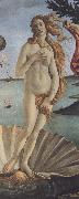 Sandro Botticelli The Birth of Venus (mk36) Sweden oil painting reproduction
